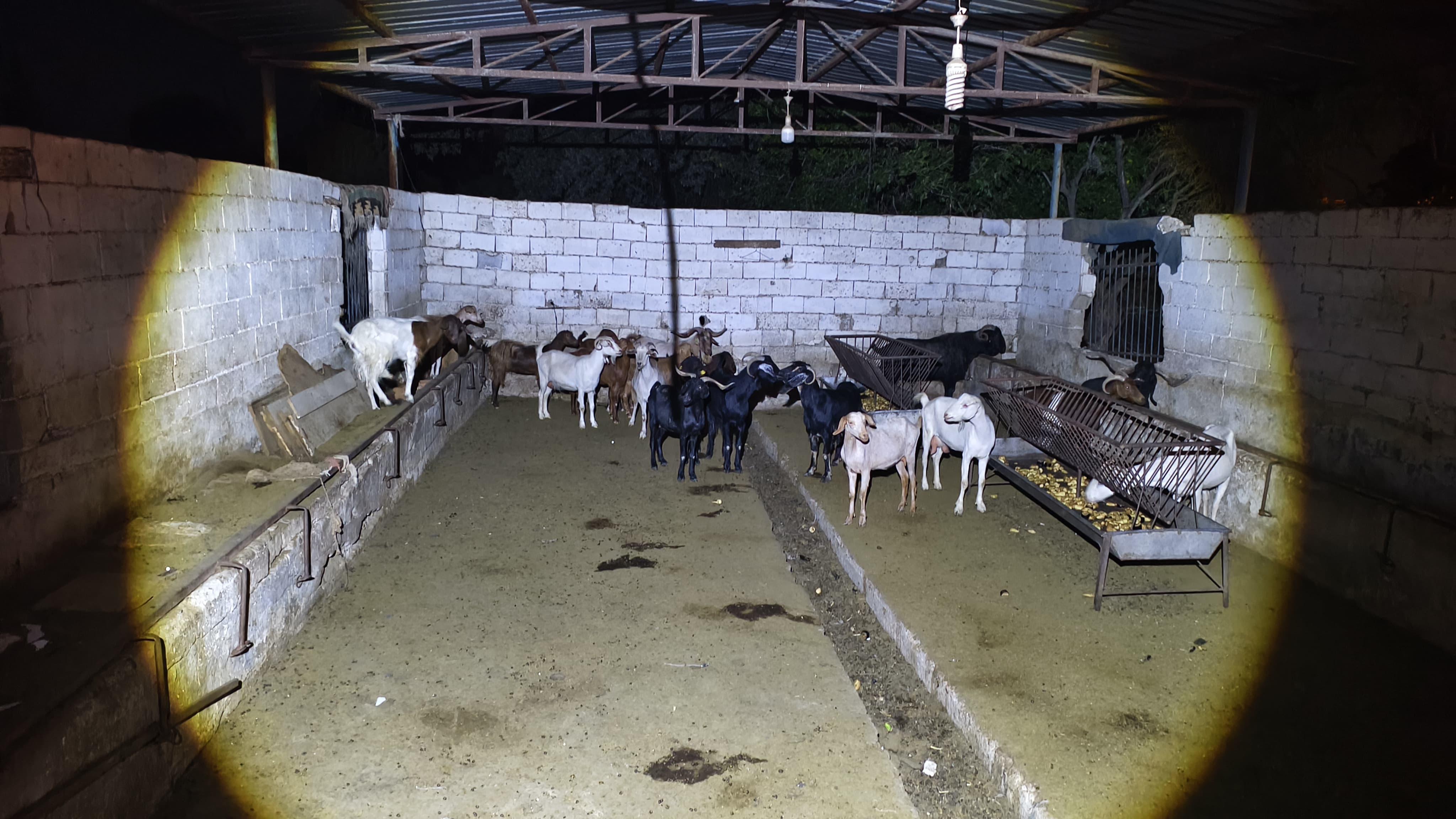 I M G 20250703 W A0103