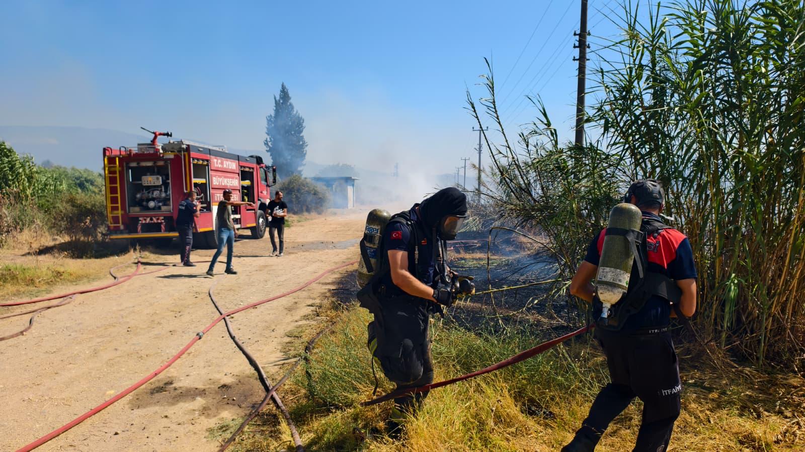 I M G 20250730 W A0022