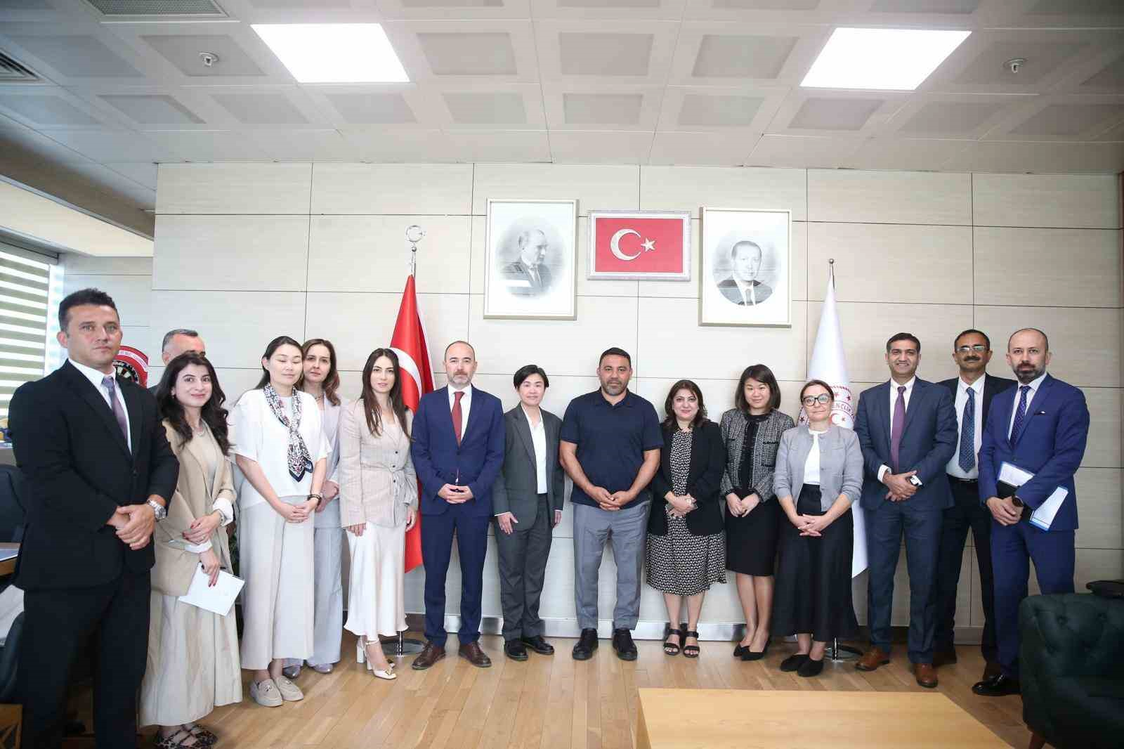 Indir-6