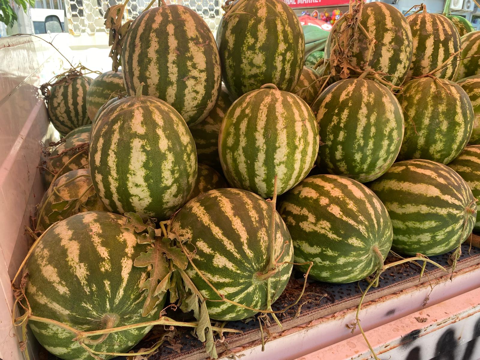 Karpuzda Bile Sahtekrlik Sahte Cincin Karpuzuna Dikkat 581490 9637Ca977E7Fad4Dd22D646A5B18C701