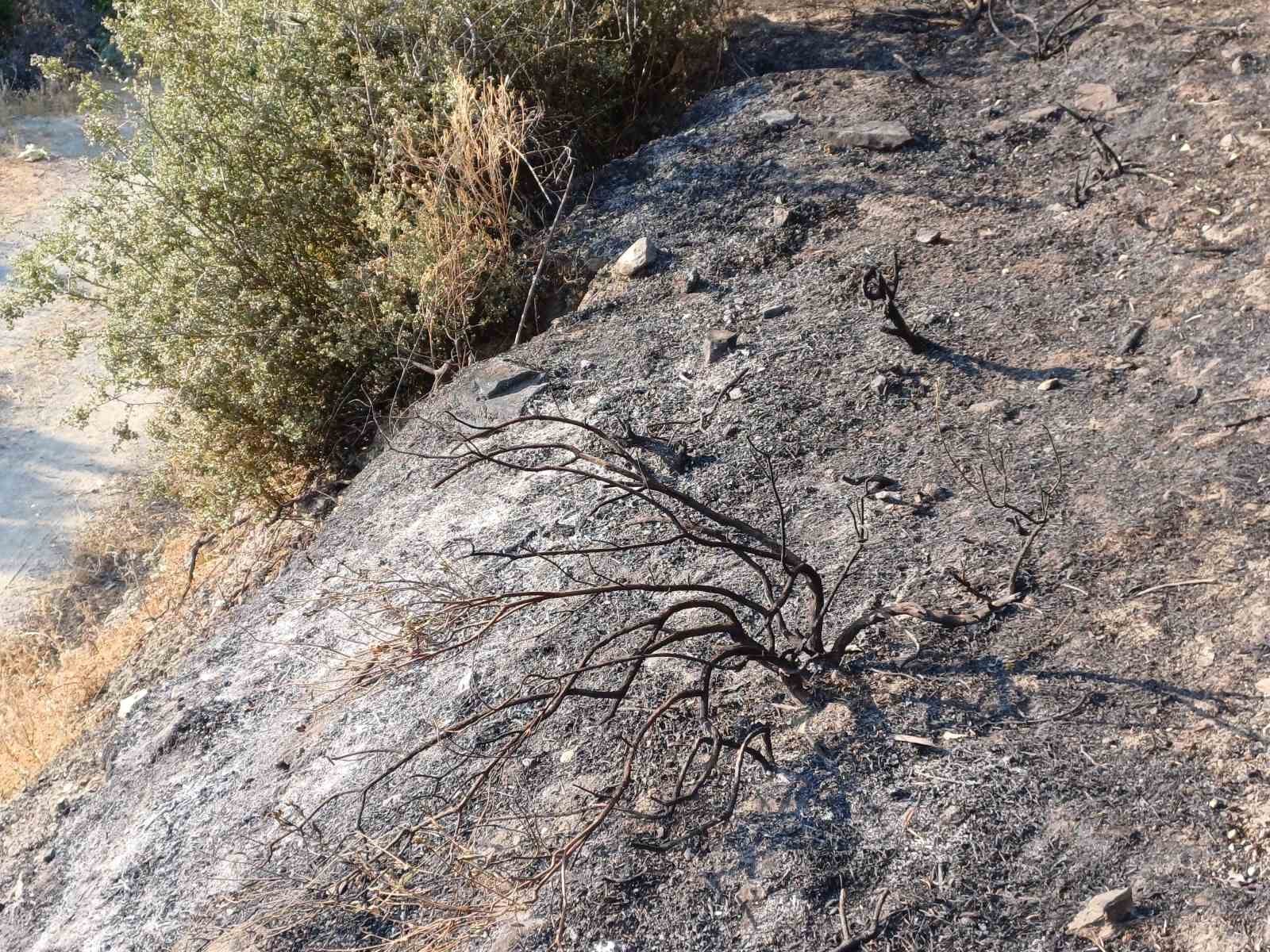 Koskteki Zirai Alan Yangini Buyumeden Sonduruldu 8F9Efc7D082F50F72E22E245C7Db87E8