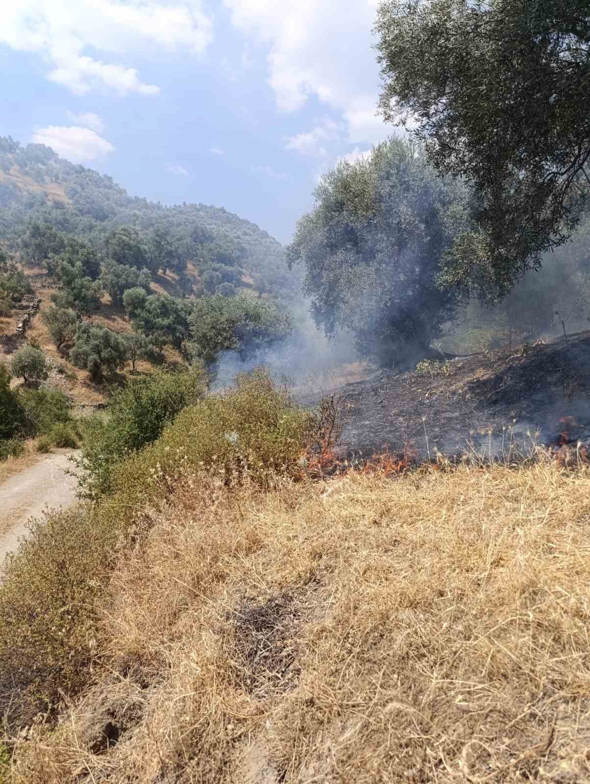 Koskteki Zirai Alan Yangini Buyumeden Sonduruldu D0862034734Ed753B0531D259A9Dfeb7