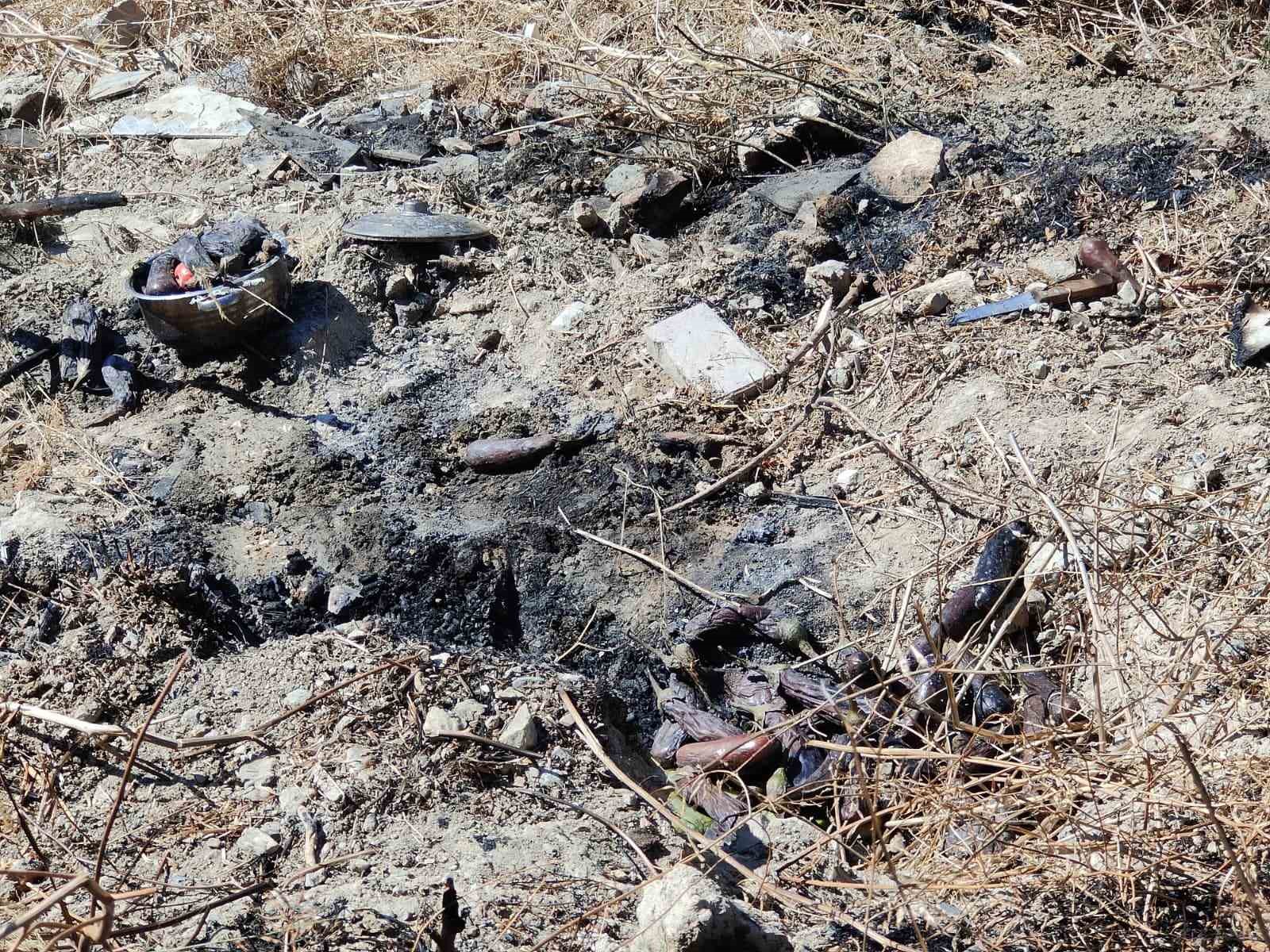 Patlican Kozlerken Ucurumdan Yuvarlandi Bf1Ce3F33B401167B8B3Ef55183253F7