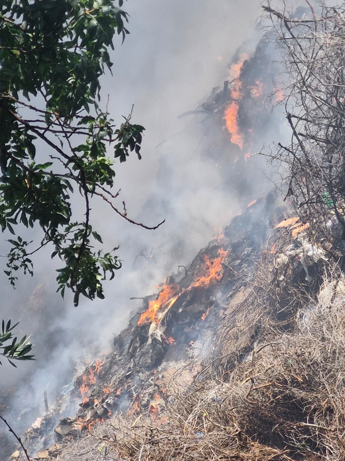 Whatsapp Görsel 2025 07 02 Saat 13.36.12 7A5F1747