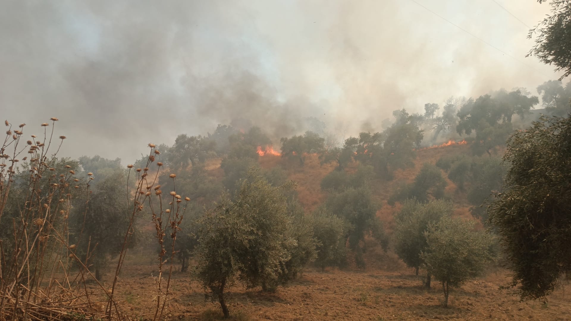 Whatsapp Görsel 2025 07 27 Saat 15.25.27 3897E70E