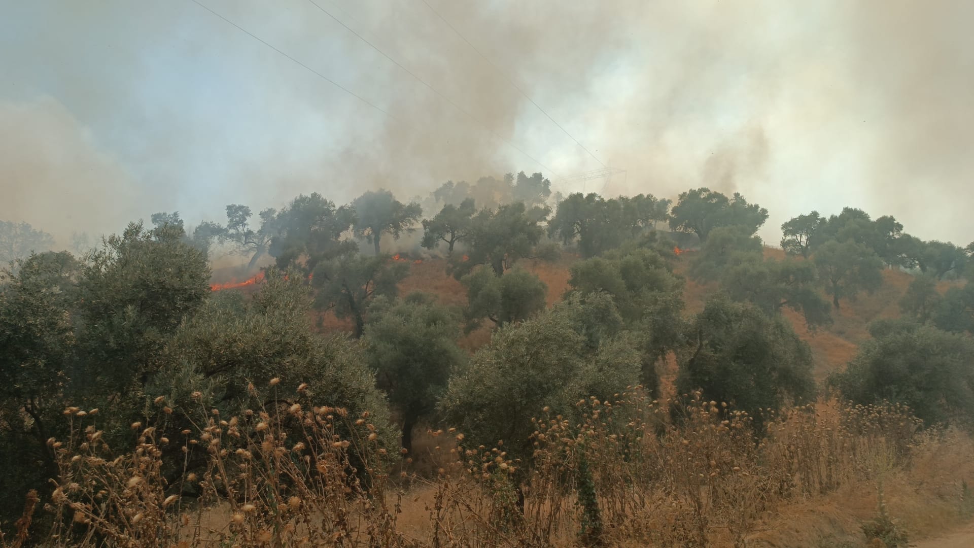 Whatsapp Görsel 2025 07 27 Saat 15.25.39 35D7656B