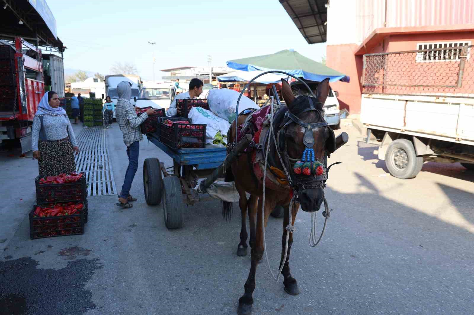 Acarlarda Eli Ayagi Tutan Herkes Calisiyor 0323D83435Fde434006Dea3Fde34341F