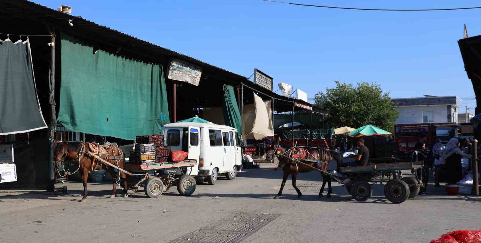 Acarlarda Eli Ayagi Tutan Herkes Calisiyor 0507A0E468415F3Dd2D8C9F998B29646