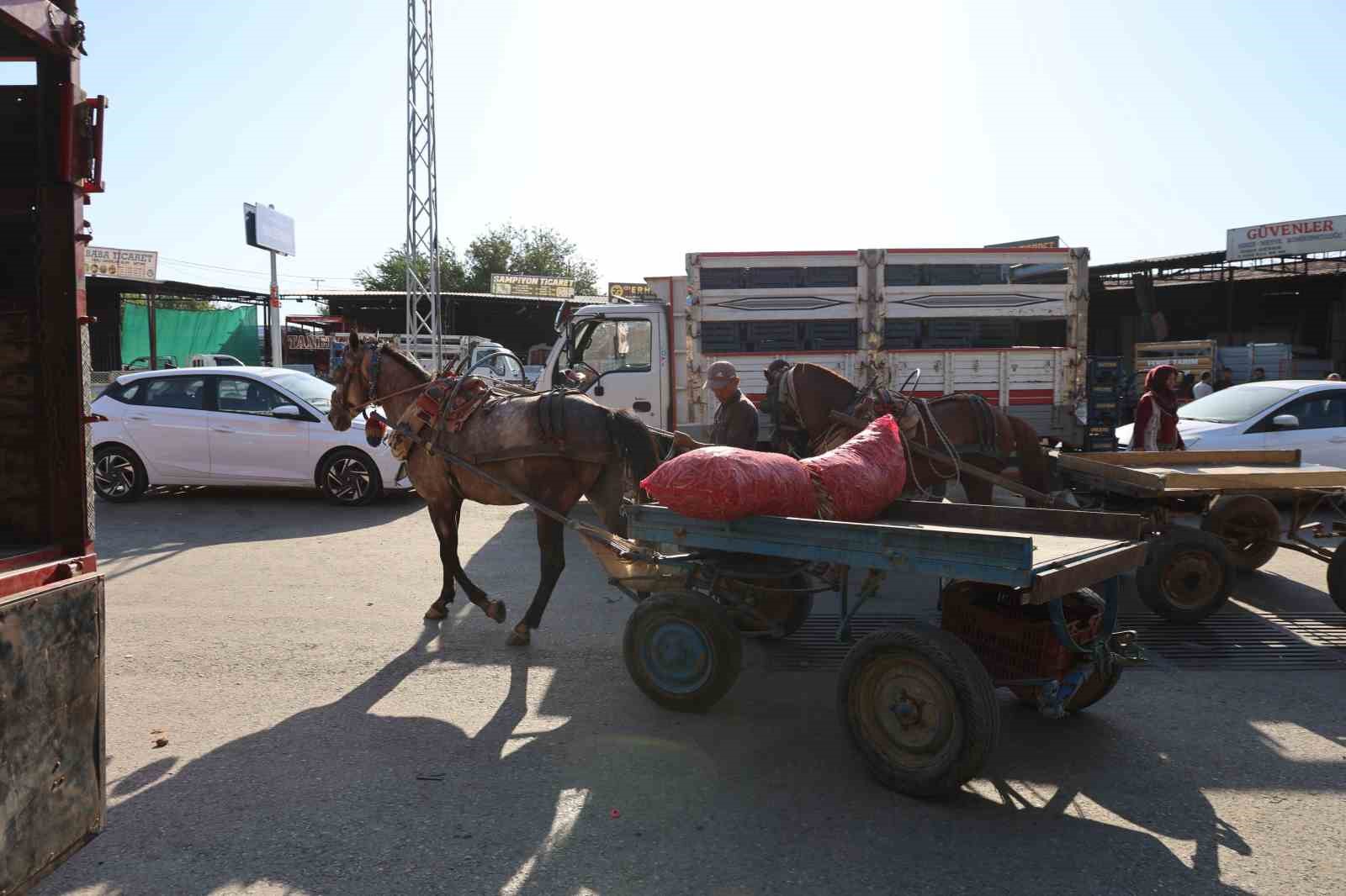 Acarlarda Eli Ayagi Tutan Herkes Calisiyor 58Cdb4408003723Ad484Bd262E0093A4