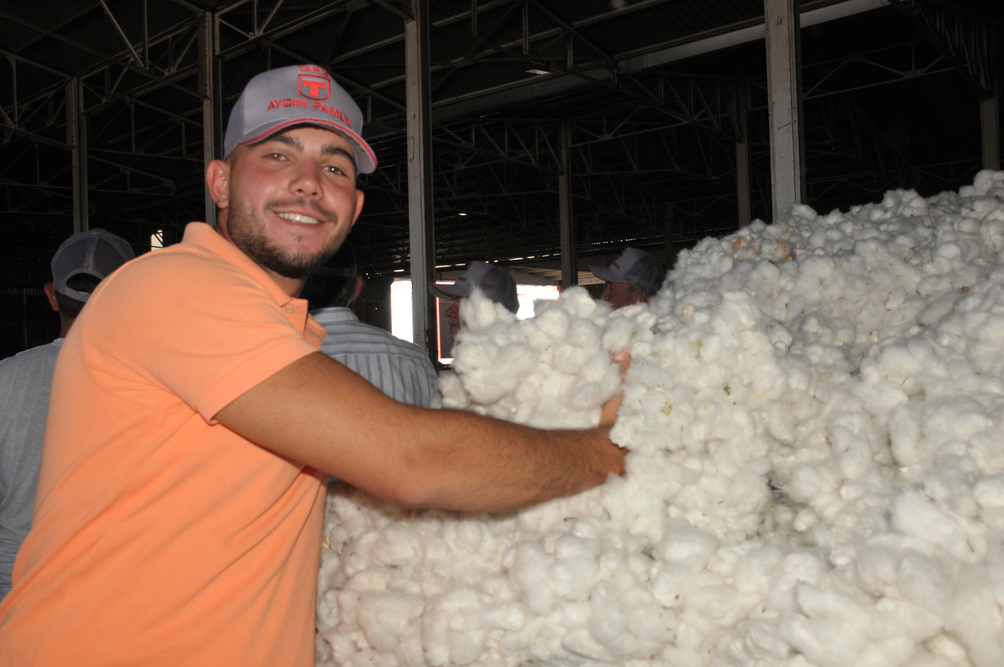 Aydin Taris Ilk Pamuk Alimini Yapti Pamukta Beklenti 50 Lira 595089 9De270B5B60E2B5Ecd84Fa99075Cbf1F