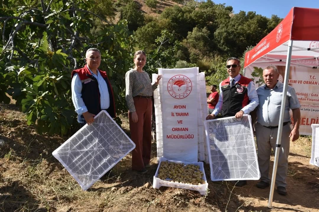 Aydinda Incir Ureticilerine Kerevet Destegi 3 Bin Tanesi Nazillide Torenle Dagitildi 593415 03688350C4A907317995Ef9D932437D3