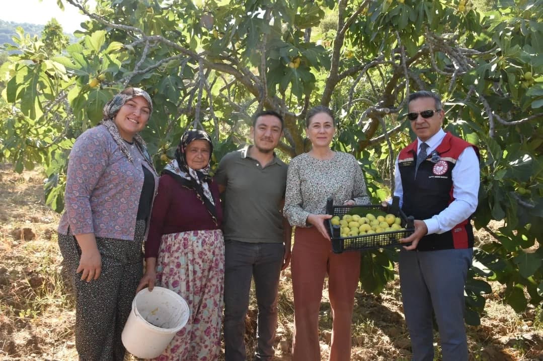 Aydinda Incir Ureticilerine Kerevet Destegi 3 Bin Tanesi Nazillide Torenle Dagitildi 593415 2De819Ab1B6C0A99243B55B92E00Bcfa