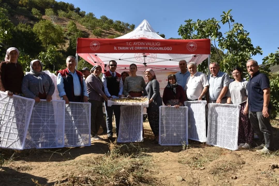 Aydinda Incir Ureticilerine Kerevet Destegi 3 Bin Tanesi Nazillide Torenle Dagitildi 593415 68B7Da693119A0B447322218Cd5Aeb41