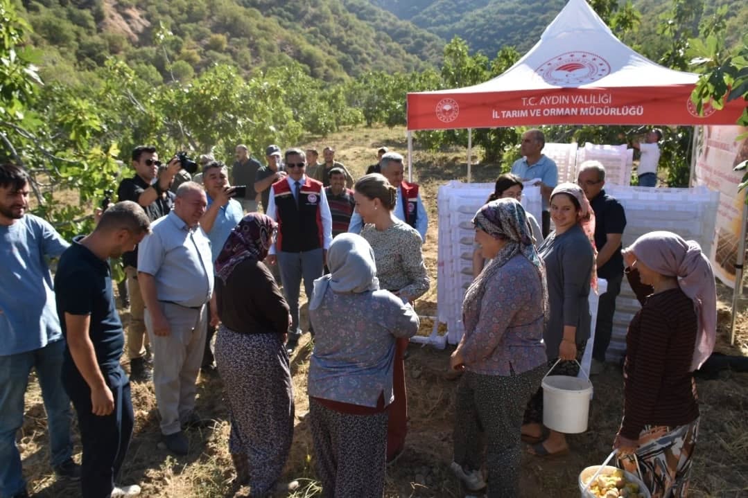 Aydinda Incir Ureticilerine Kerevet Destegi 3 Bin Tanesi Nazillide Torenle Dagitildi 593415 73F77Ac4Ab567Bcd68F1E412F81Cb5B5