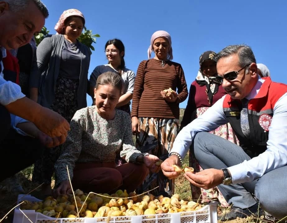 Aydinda Incir Ureticilerine Kerevet Destegi 3 Bin Tanesi Nazillide Torenle Dagitildi 593415 98Fea7C88D293D3785C42B44A3E5A257