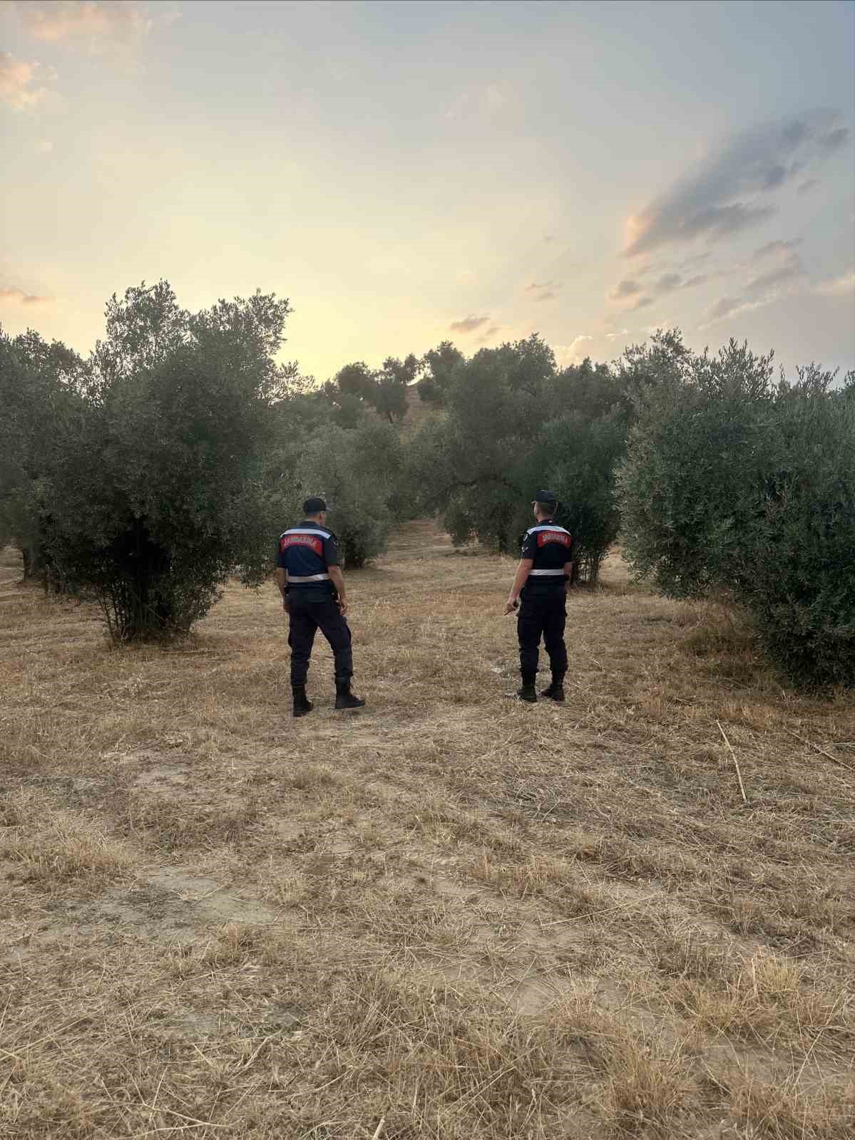 Aydinda Ormanlar Jandarma Gozetiminde 05Fc7777Caebb7E88F99114F16Faf3D2