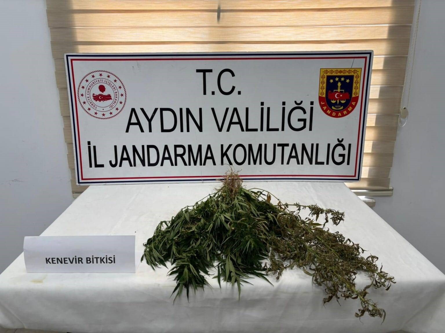 Aydinda Uyusturucu Operasyonu 13 Supheli Yakalandi F4Ec9C5Ebe214A1Ae29D303187961D39