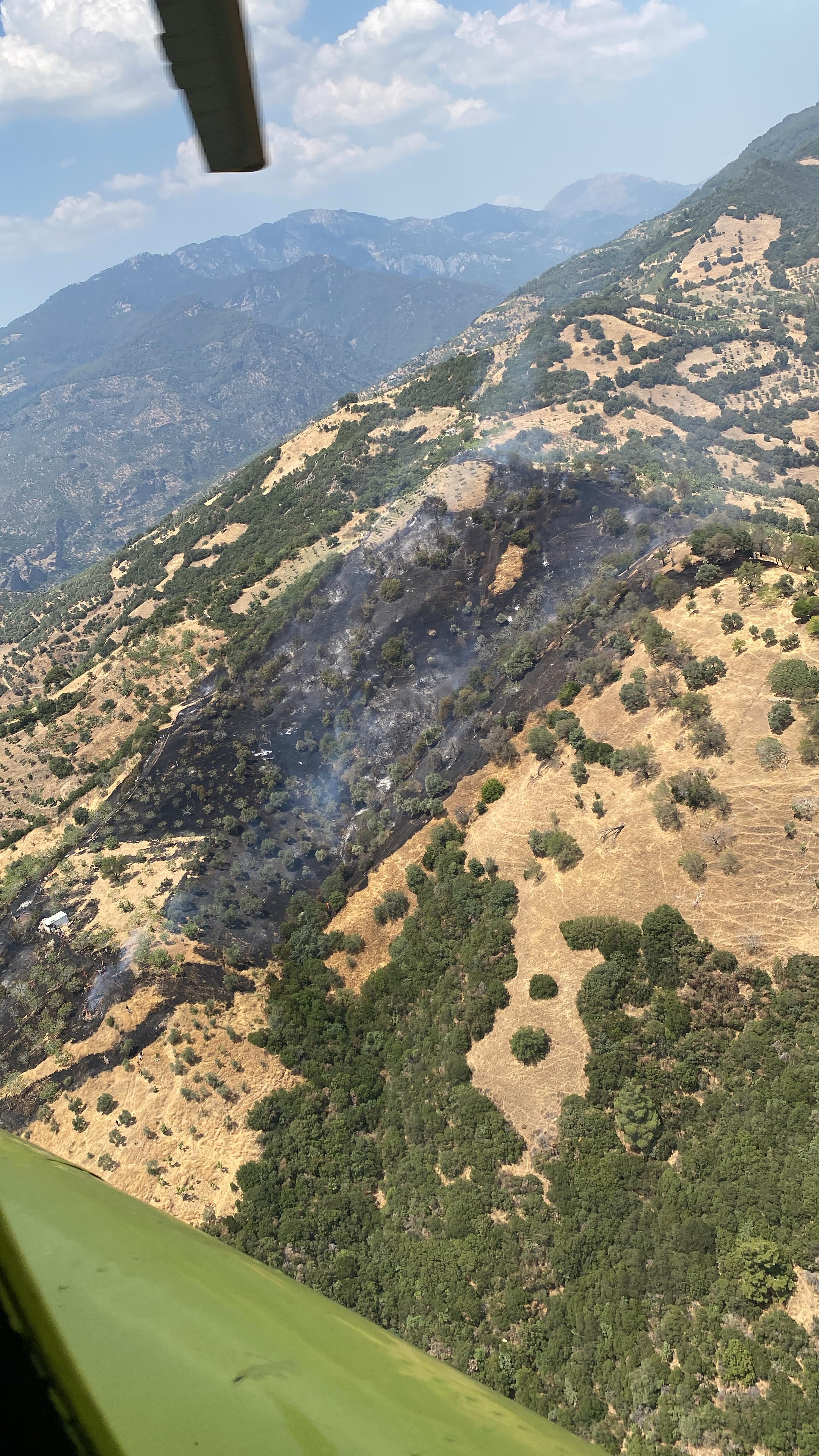 Aydindaki Yanginla Ilgili Bir Kisi Gozaltina Alindi 588985 559Ab74Bdad1F88Ad22027158Ce63265