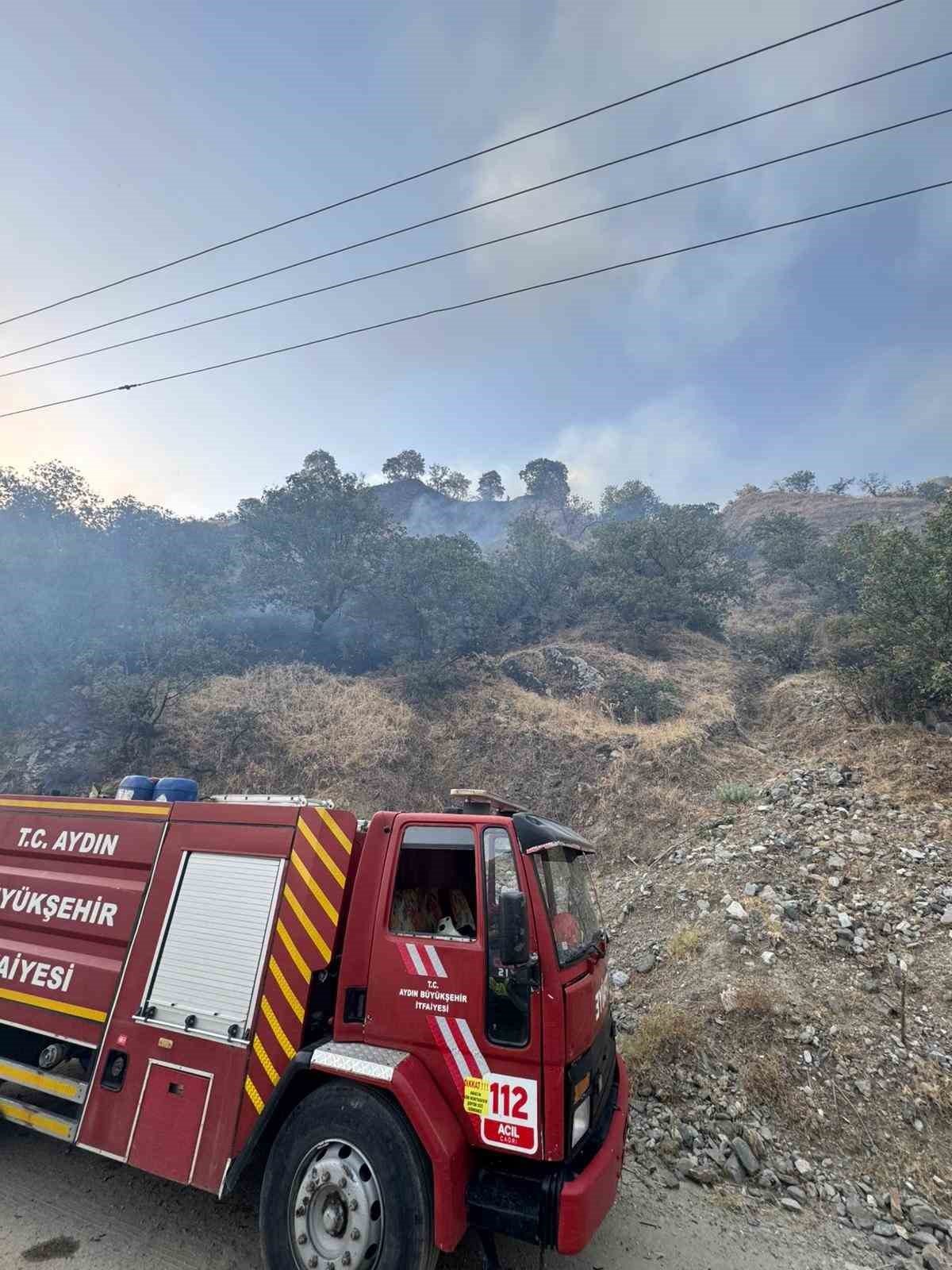 Buharkentte Orman Yangini 0Aae02B4Eb6A785Ad28Cb00D66242803