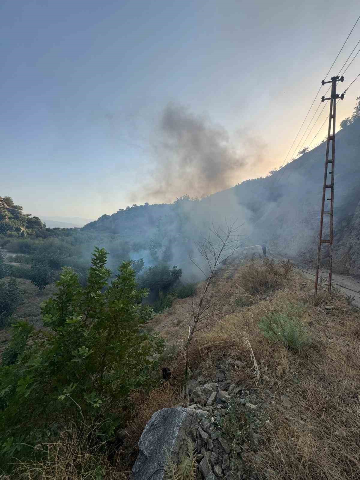 Buharkentte Orman Yangini 661D58F730Cdbb5Ba1E4A042542254Ce