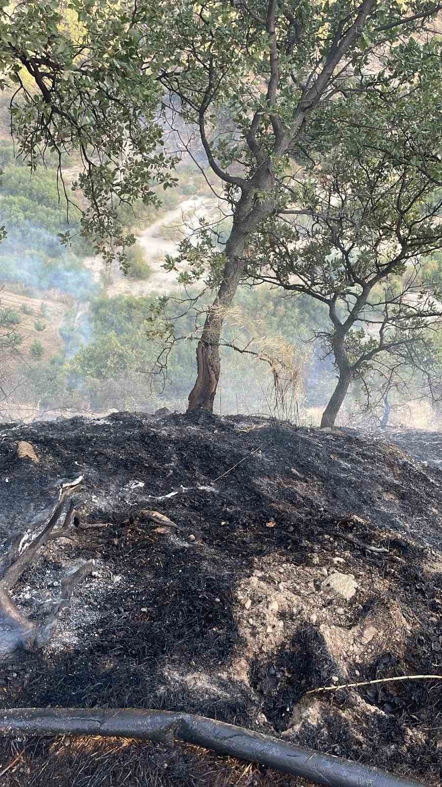 Buharkentte Orman Yangini 9E424B0E058396385C42Df5Bf55B5B9B