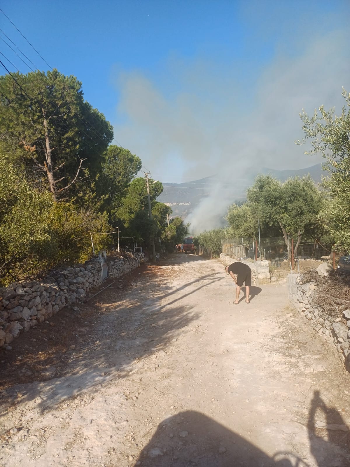 Didimde Makilik Ve Zeytinlik Yangini Korkuttu 594536 776Fc429C0872321766F5321Fdf618B5