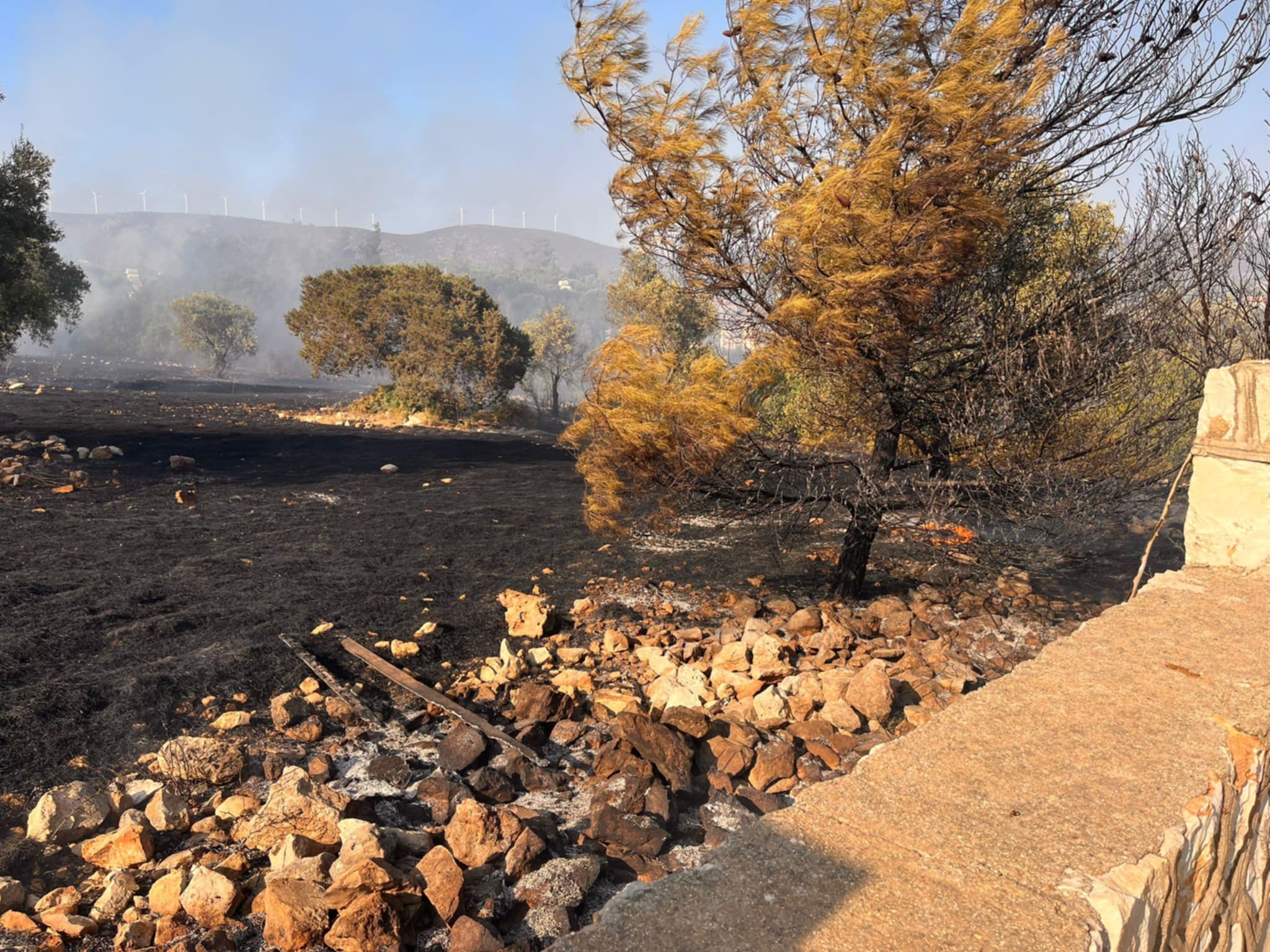 Didimde Makilik Ve Zeytinlik Yangini Korkuttu 594536 B1C2Dca23612C04A35Ae16E278142B5D