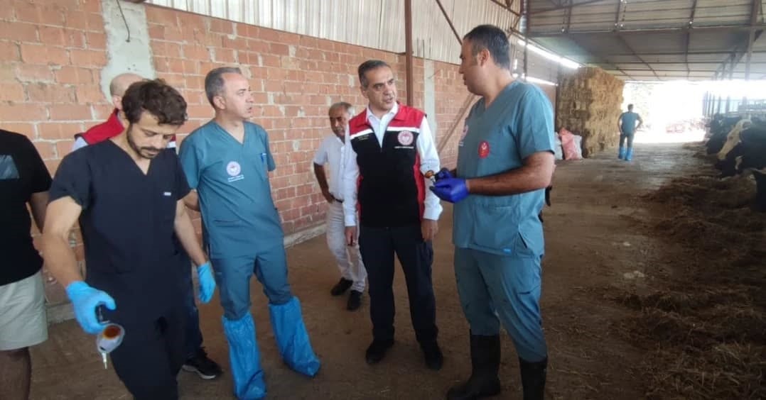 Efelerde Sap Asilamasi Devam Ediyor A407A90513D640Ceecc9Edd87584Bb28