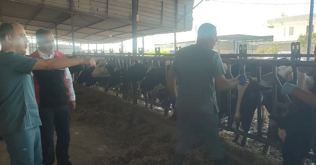 Efelerde Sap Asilamasi Devam Ediyor Bce4695A4C092C170D220D19Fc1Bbe83