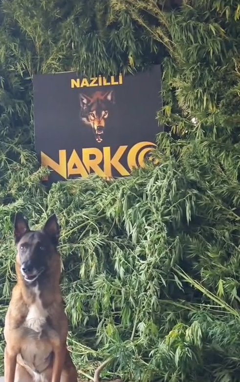 Ekran Görüntüsü 2025 08 21 210421