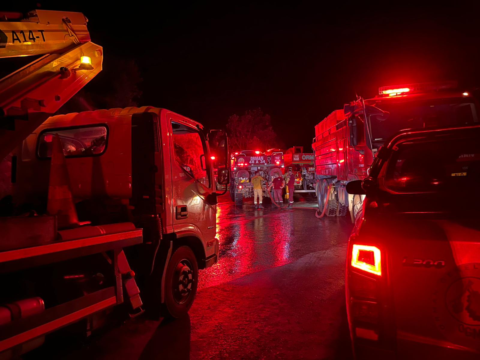 I M G 20250809 W A0006