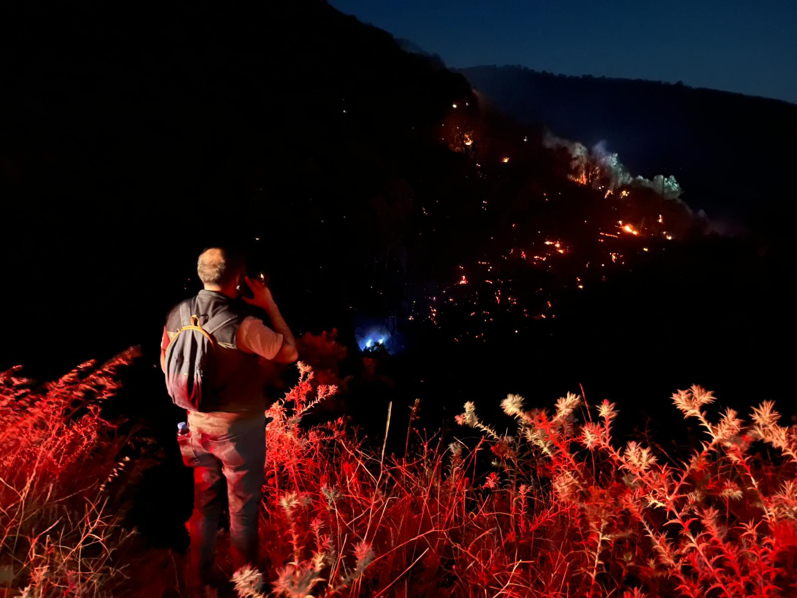 I M G 20250809 W A0008