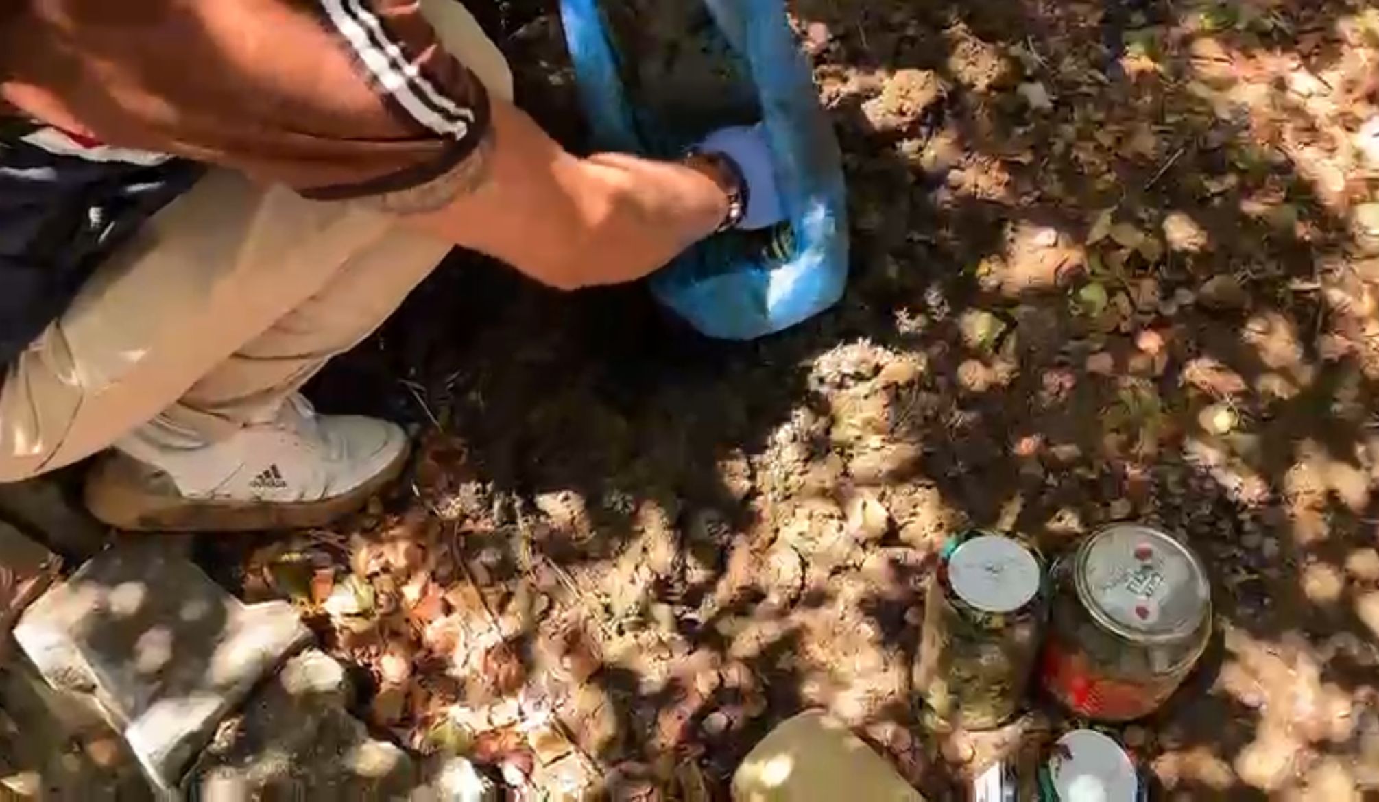 I M G 20250821 W A0015