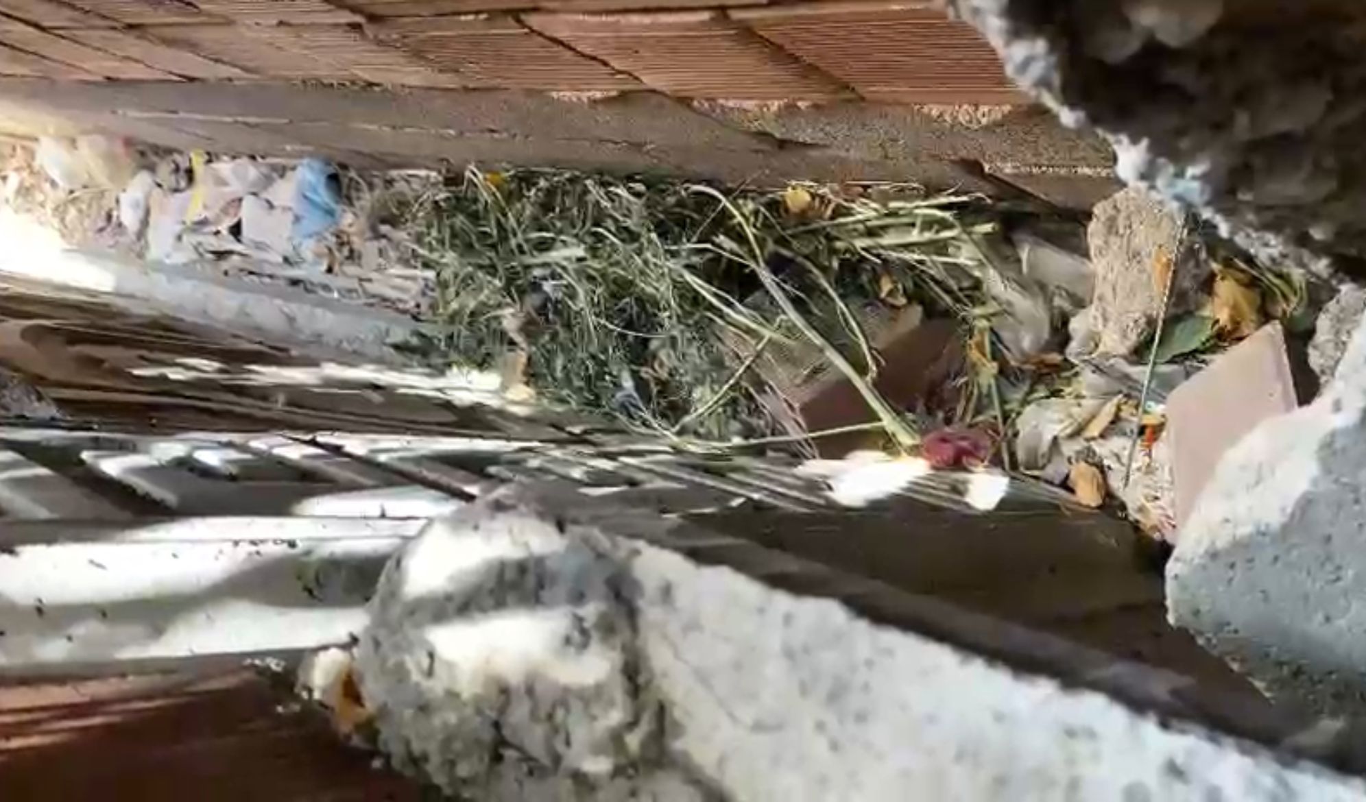 I M G 20250821 W A0016