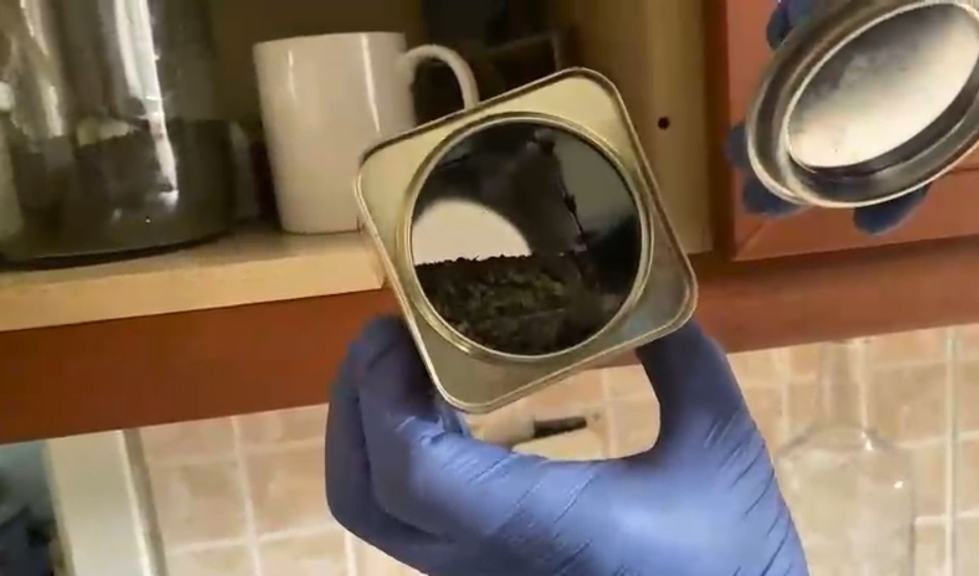 I M G 20250821 W A0017