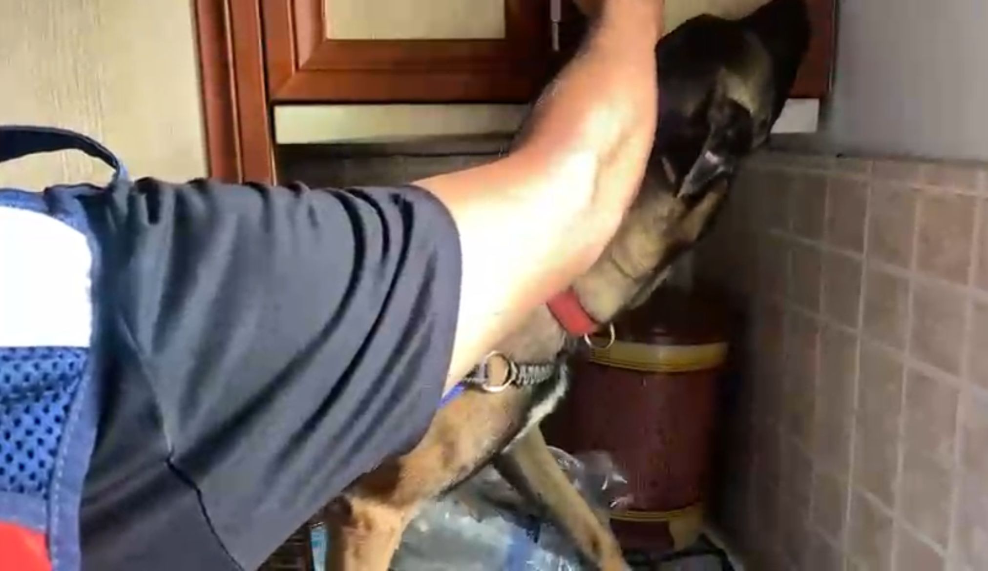 I M G 20250821 W A0019