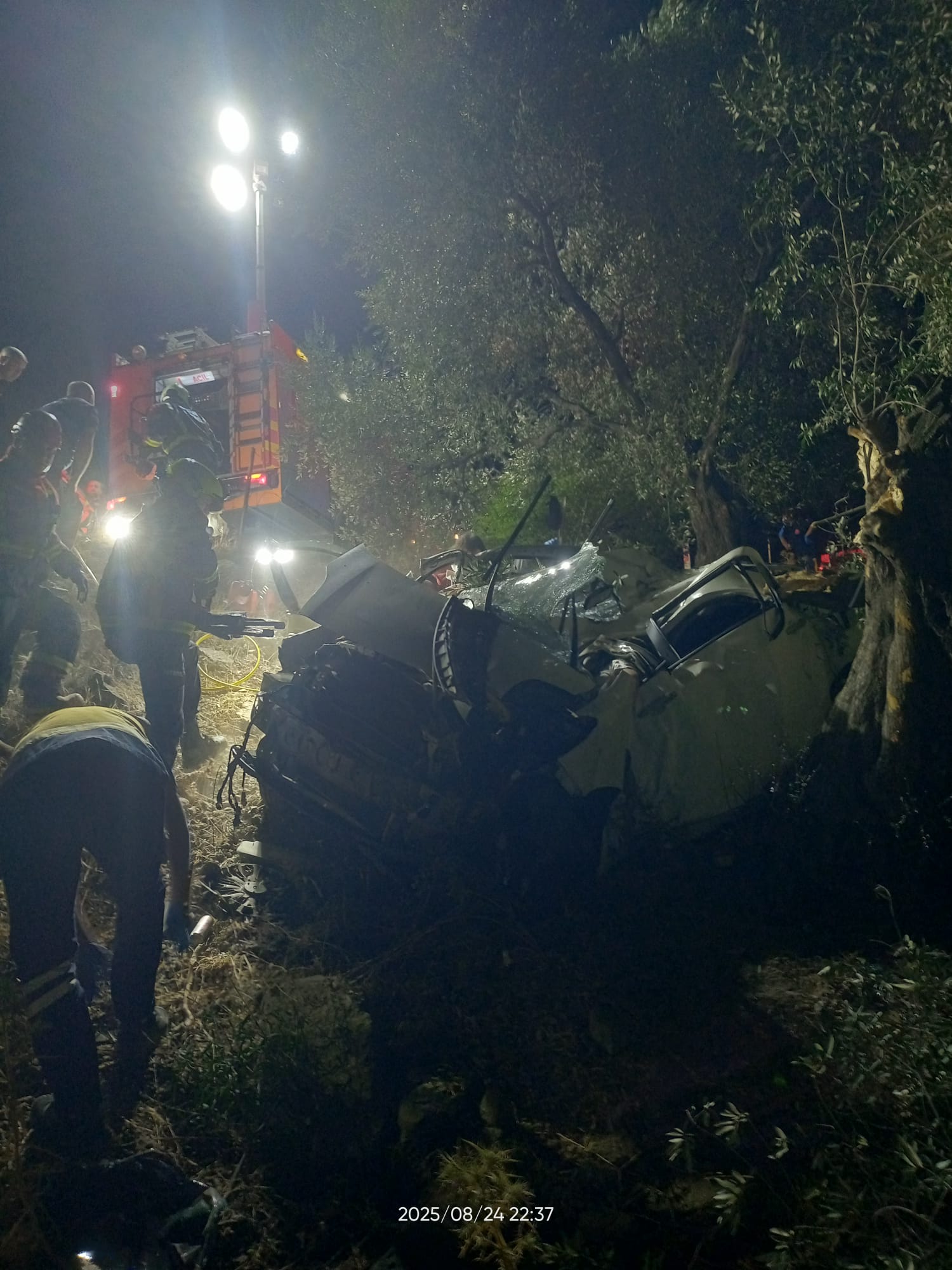 I M G 20250824 W A0065