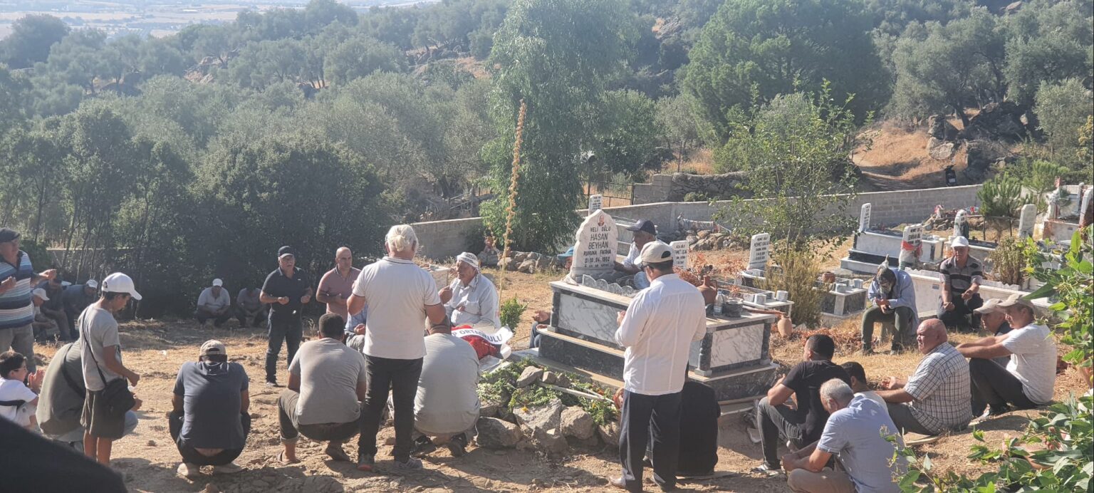 I M G 20250825 W A0022