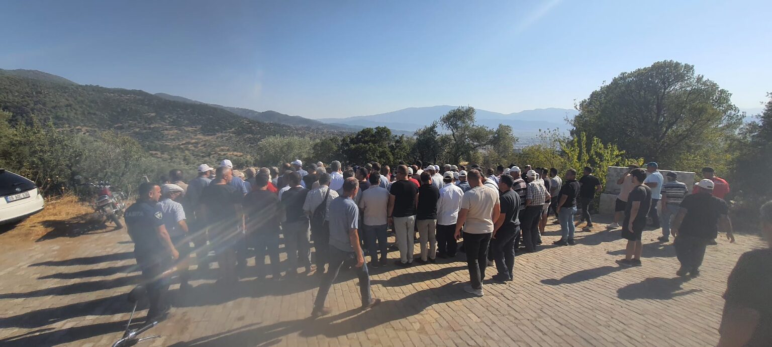 I M G 20250825 W A0024