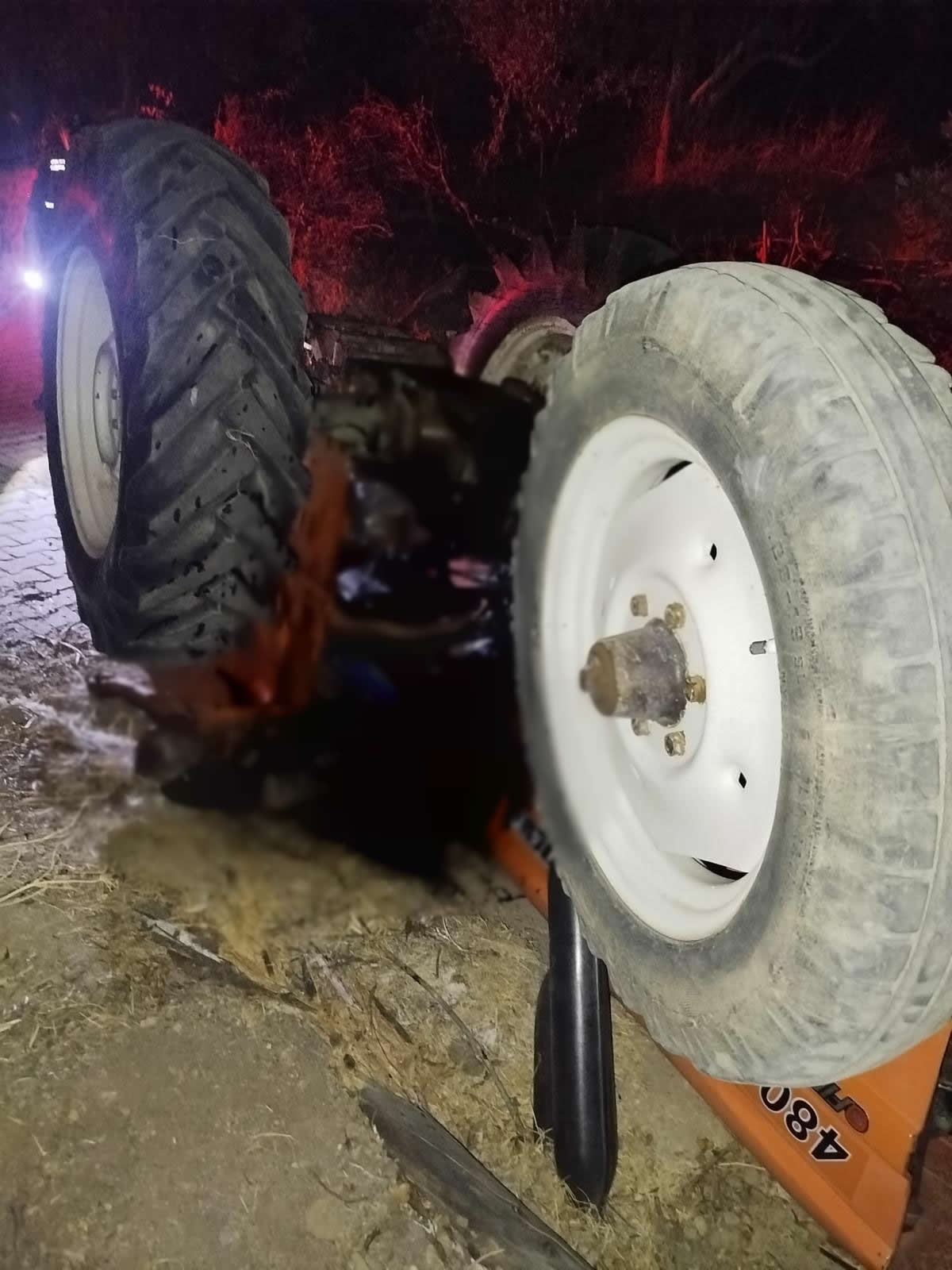 I M G 20250827 W A0036