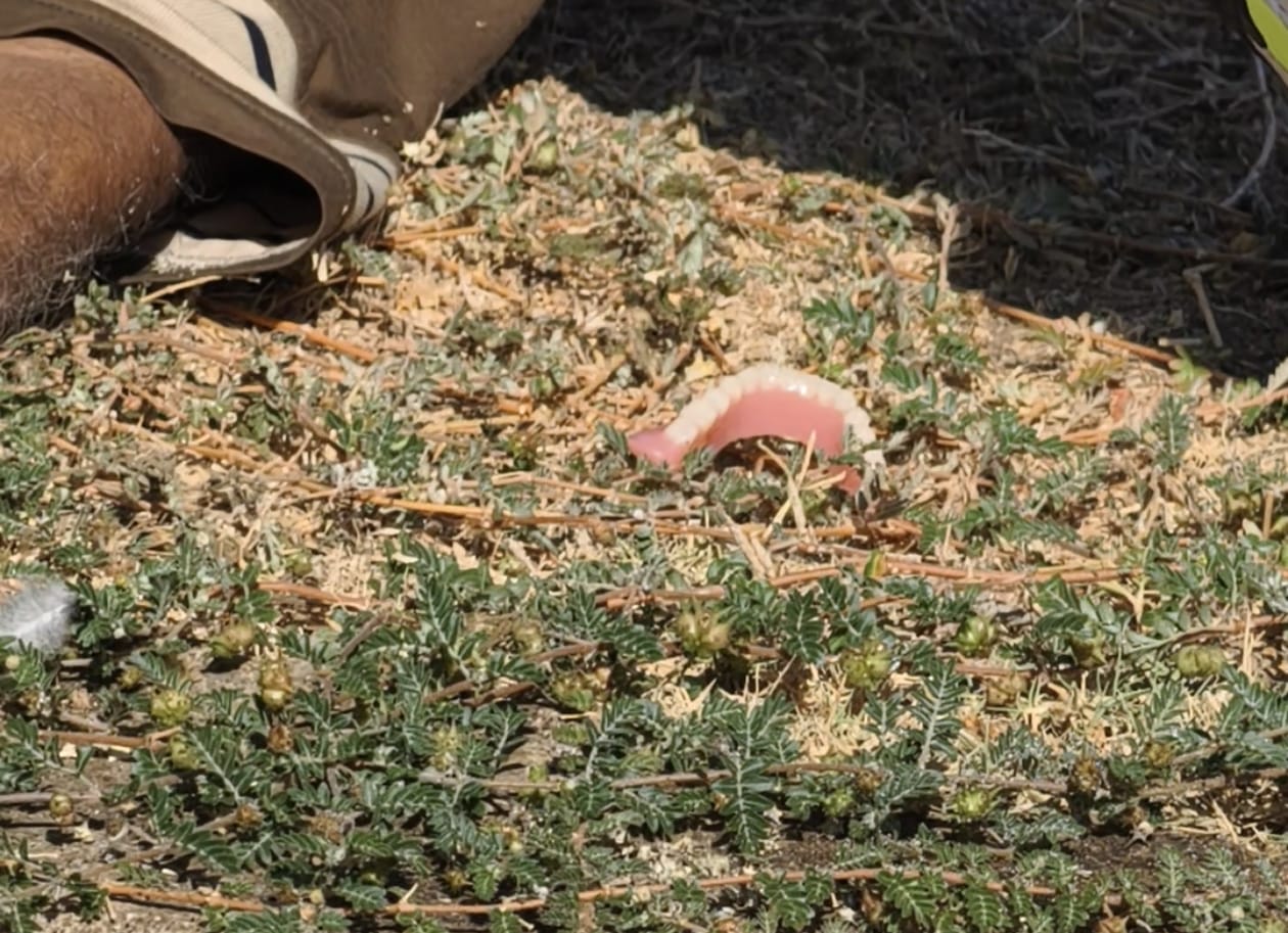 I M G 20250829 W A0015