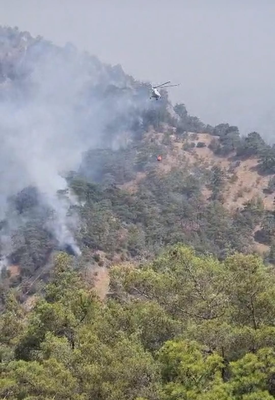 I M G 20250830 W A0061