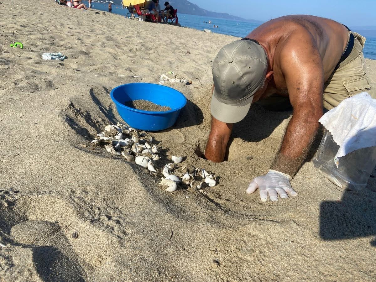 Isik Kirliligi Yonlerini Sasirtti Gonulluler Kurtardi A4Bd993F963Bada98C35D16920D56F68