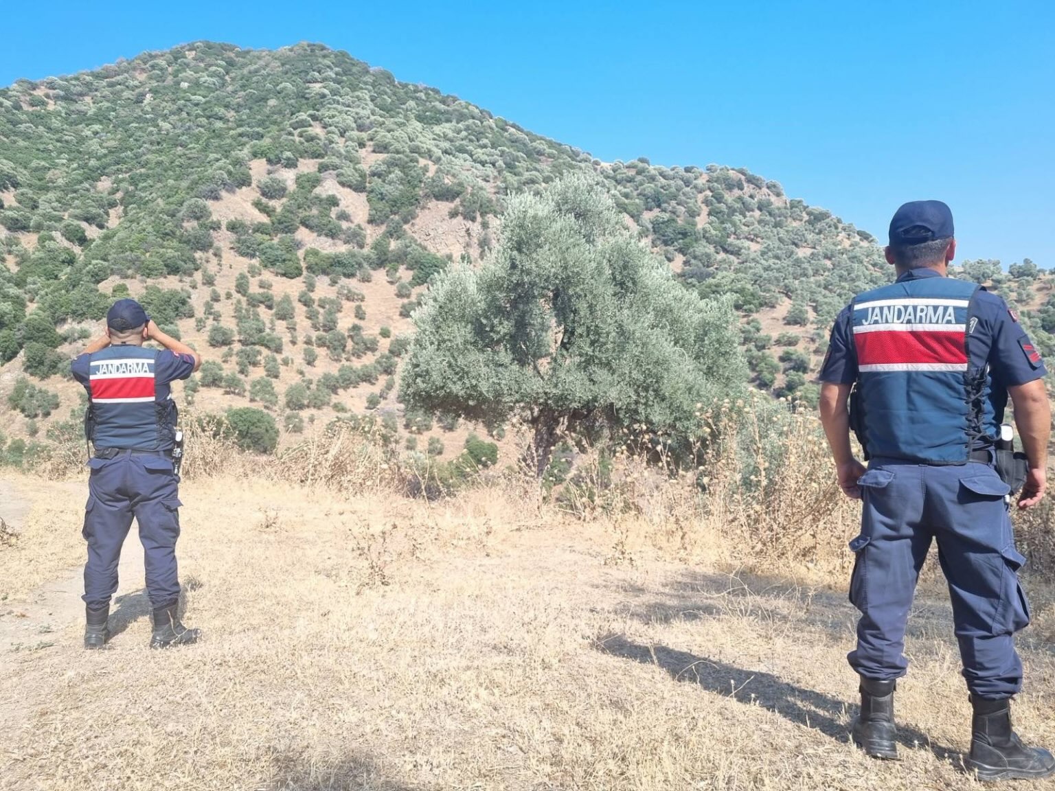 Jandarma Ormanlarda Teyyakkuzda 589359 D7Feb467F432F0Dd27Ae9Fed60Badd84