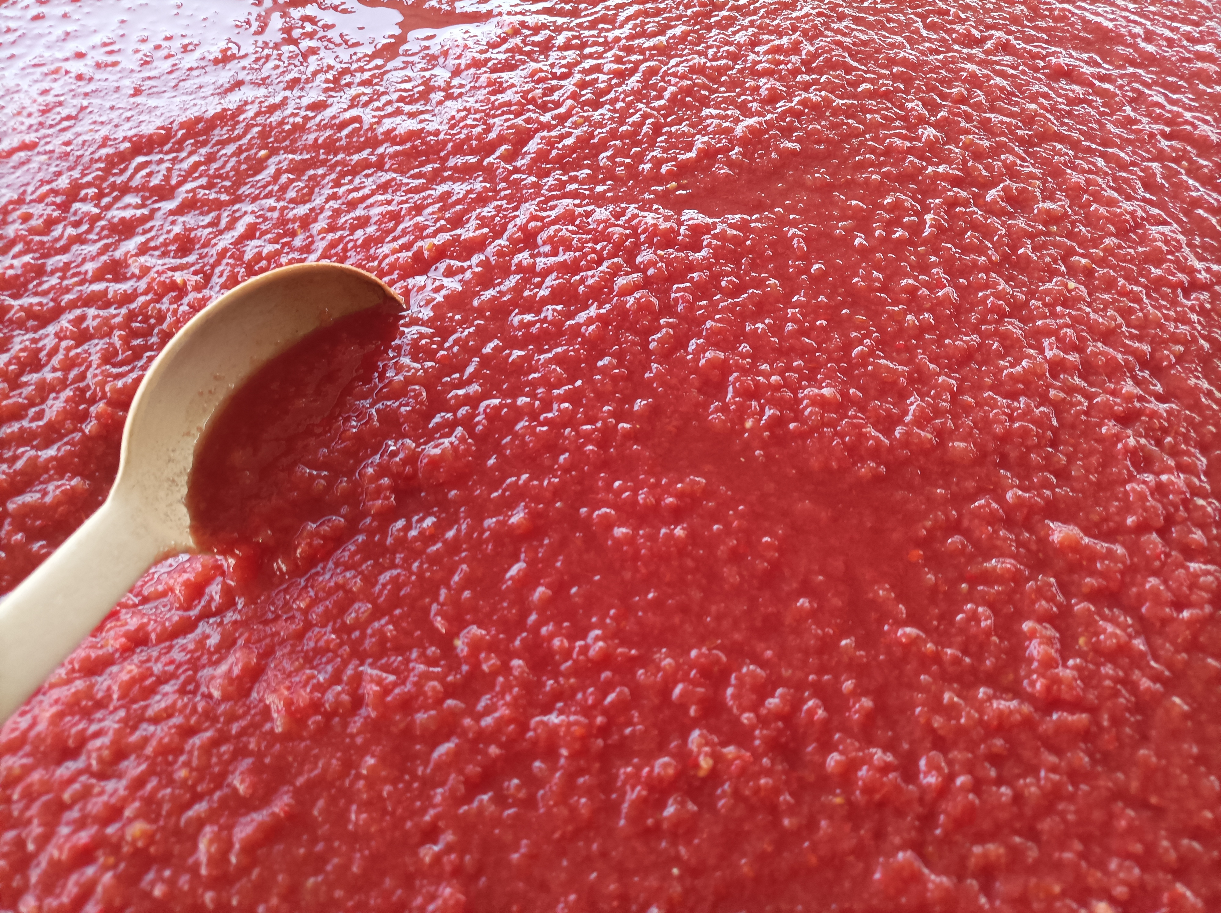 Karacasuda Balkonlar Kizardi 588511 934083F4946Fbd4F6E99A8Ef14F3F2B1