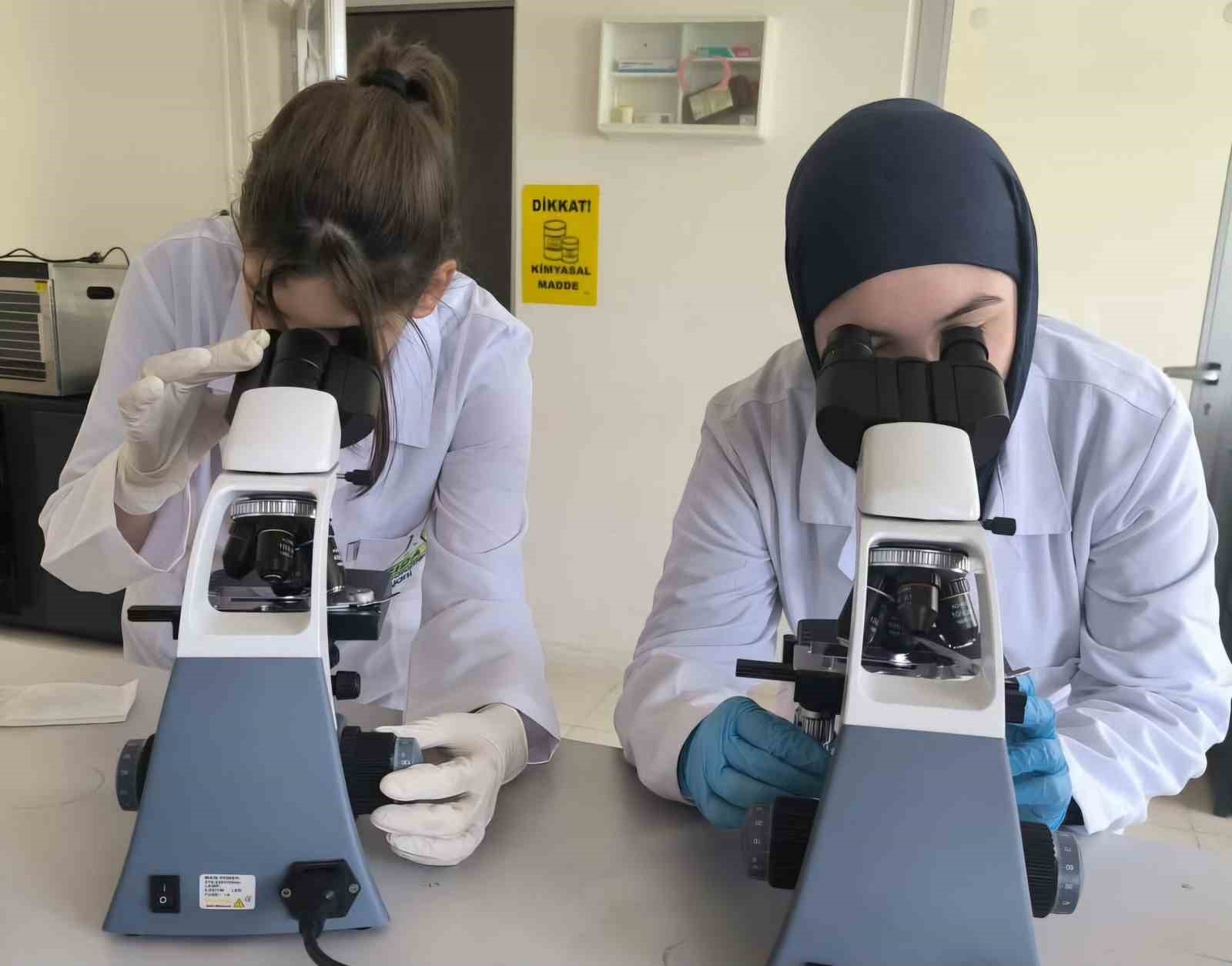 Koskte Meslek Lisesini 116 Ogrenci Tercih Etti 4B3129Ca38Baae86598F4814Ba8F2459