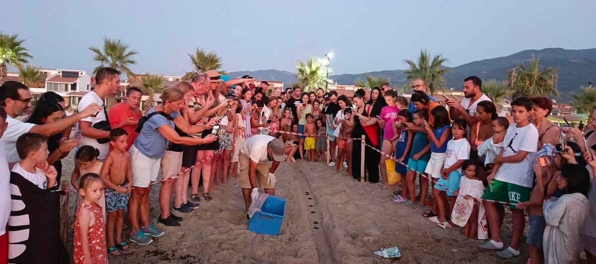 Kusadasinda Koruma Altindaki Yuvadan Ilk Yavrular Denize Ulasti 025Fa64401C77Cb43968C92B886Fd37F