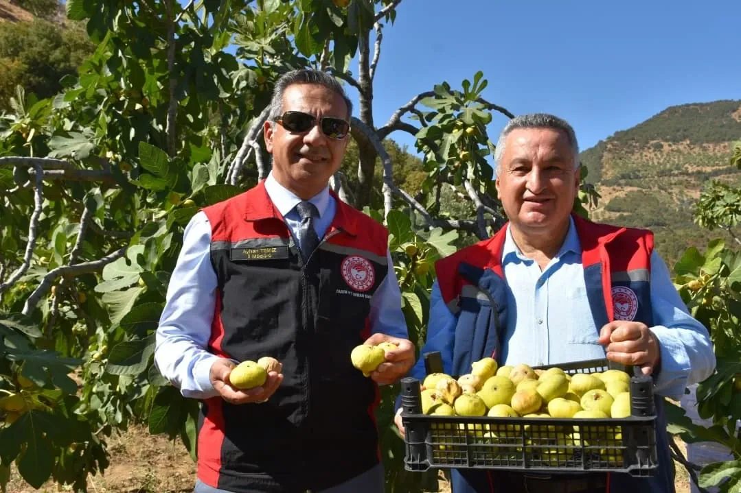 Aydinda Ciftcilere 491 Bin Liralik Fidan Destegi 599026 F0667E6Aad1B69D4C2F81Cd6Cfabb764