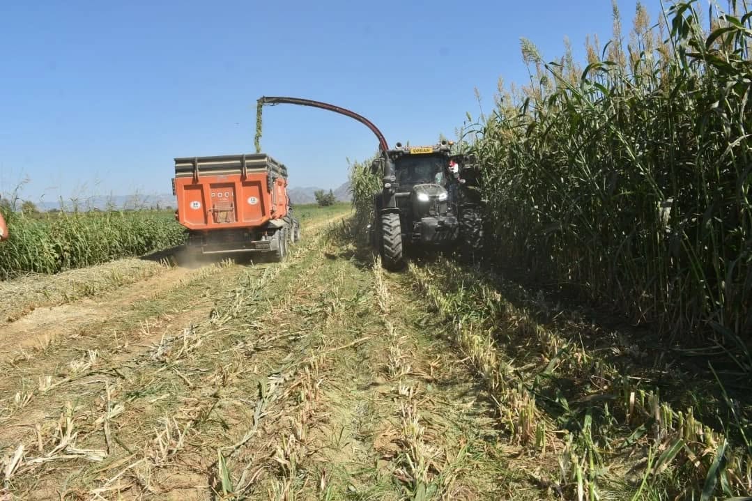 Aydinda Tarimda Yeni Donem Uretim Artik Planli Olacak 598290 2F5E403F8B8Fbdbe652Aa8B2D11517Dd