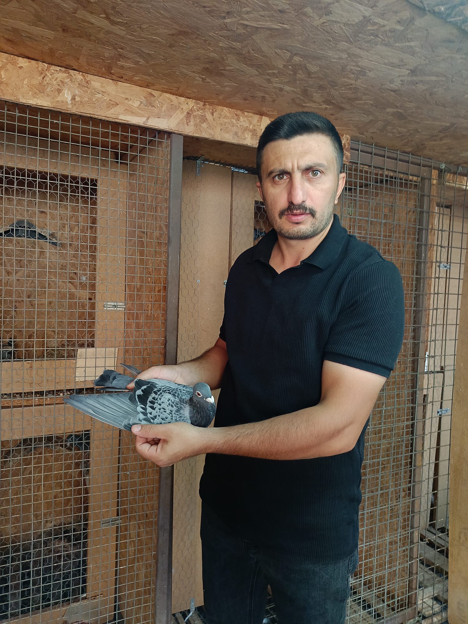 Aydinli Camurlunun Guvercini Turkiye Sampiyonu Oldu 601827 Ed9D3567574A4716887Bbf2D5628C7Ba